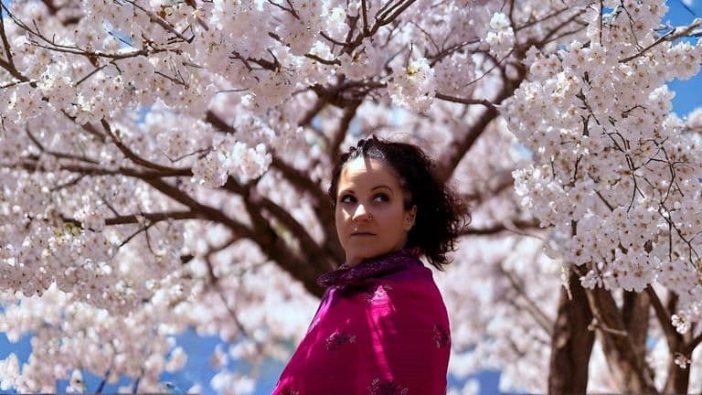 Woman in a vibrant pink shawl stands among blossoming cherry trees, gazing thoughtfully. The blue sky and white blossoms convey a serene, springtime mood.