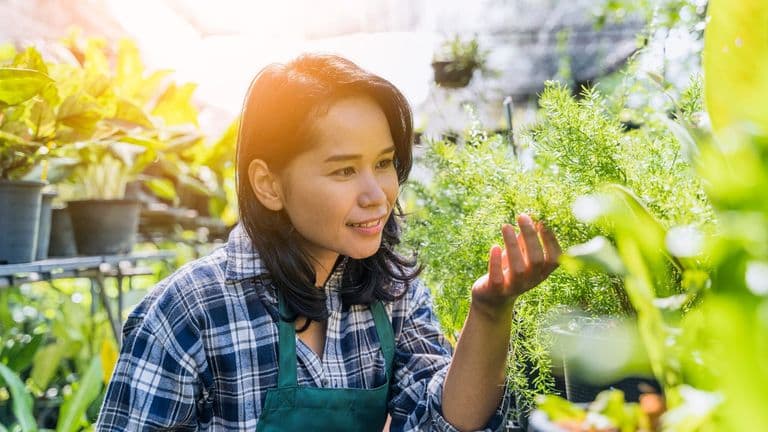 Gardening 23 2148020398