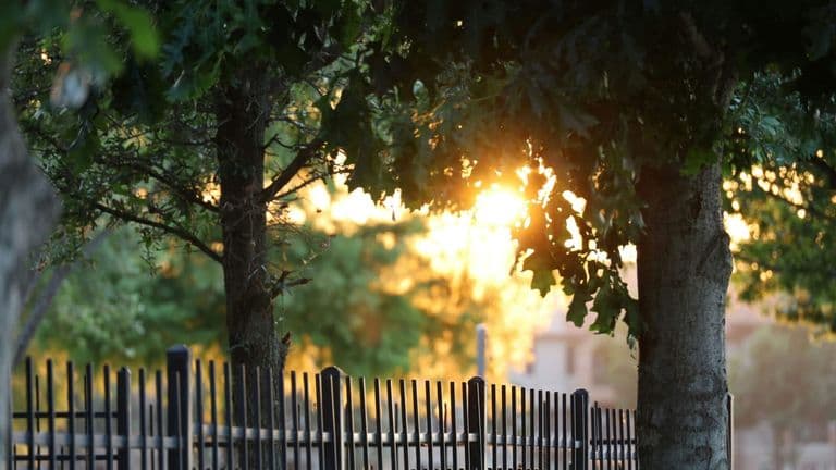 Federal Closure of Dupont Circle Park Sparks Backlash During WorldPride Weekend