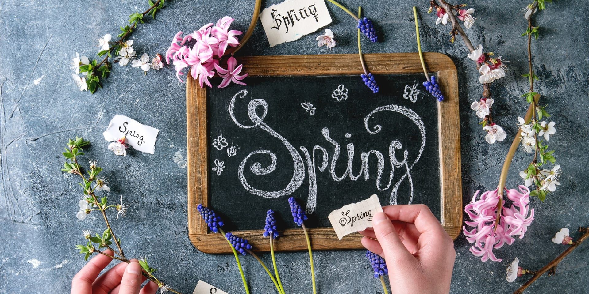 Spring 2026 Beauty Trends Take Center Stage Across the U.S.