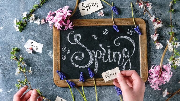 Spring 2026 Beauty Trends Take Center Stage Across the U.S.