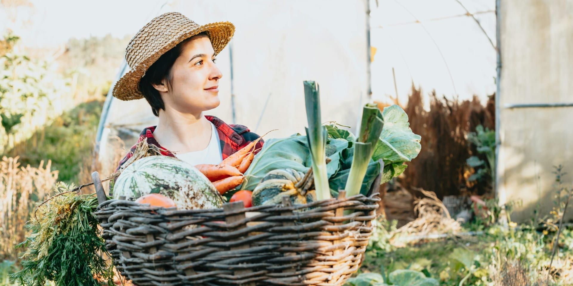 September Marks Start of Fruits & Veggies Month—A ‘Have a Plant’ Pledge for Better Eating