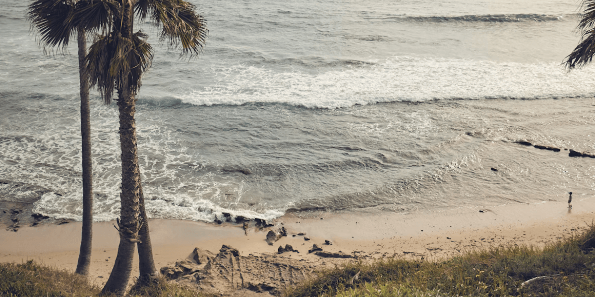 Laguna Beach Reunion and Cultural Moments Captivate Audiences on March 10, 2026