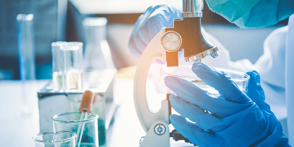 Scientist observing samples under a microscope in a laboratory setting with glassware