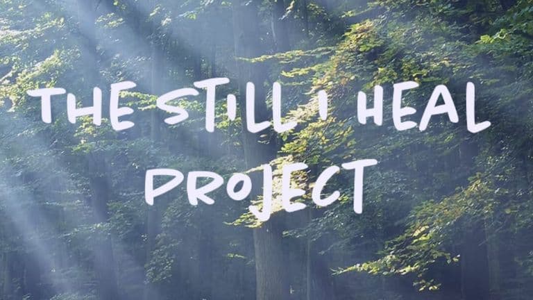 The Still I Heal Project logo over sunlit forest, promoting childhood emotional abuse awareness and healing.
