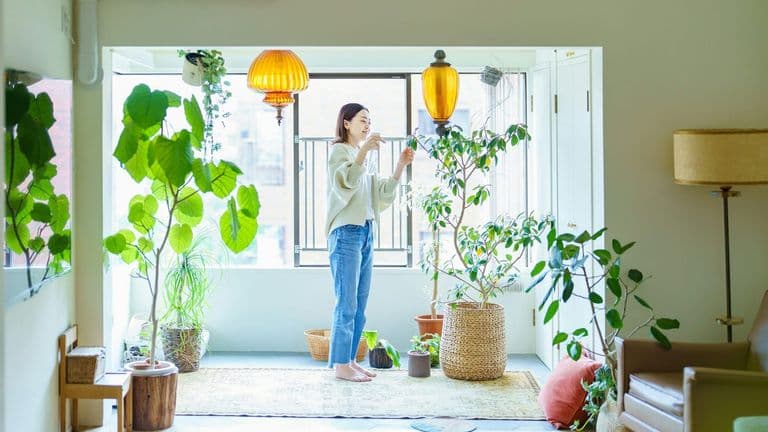 Biophilic Design Gains Momentum in 2025 as a Path to Healthier Living