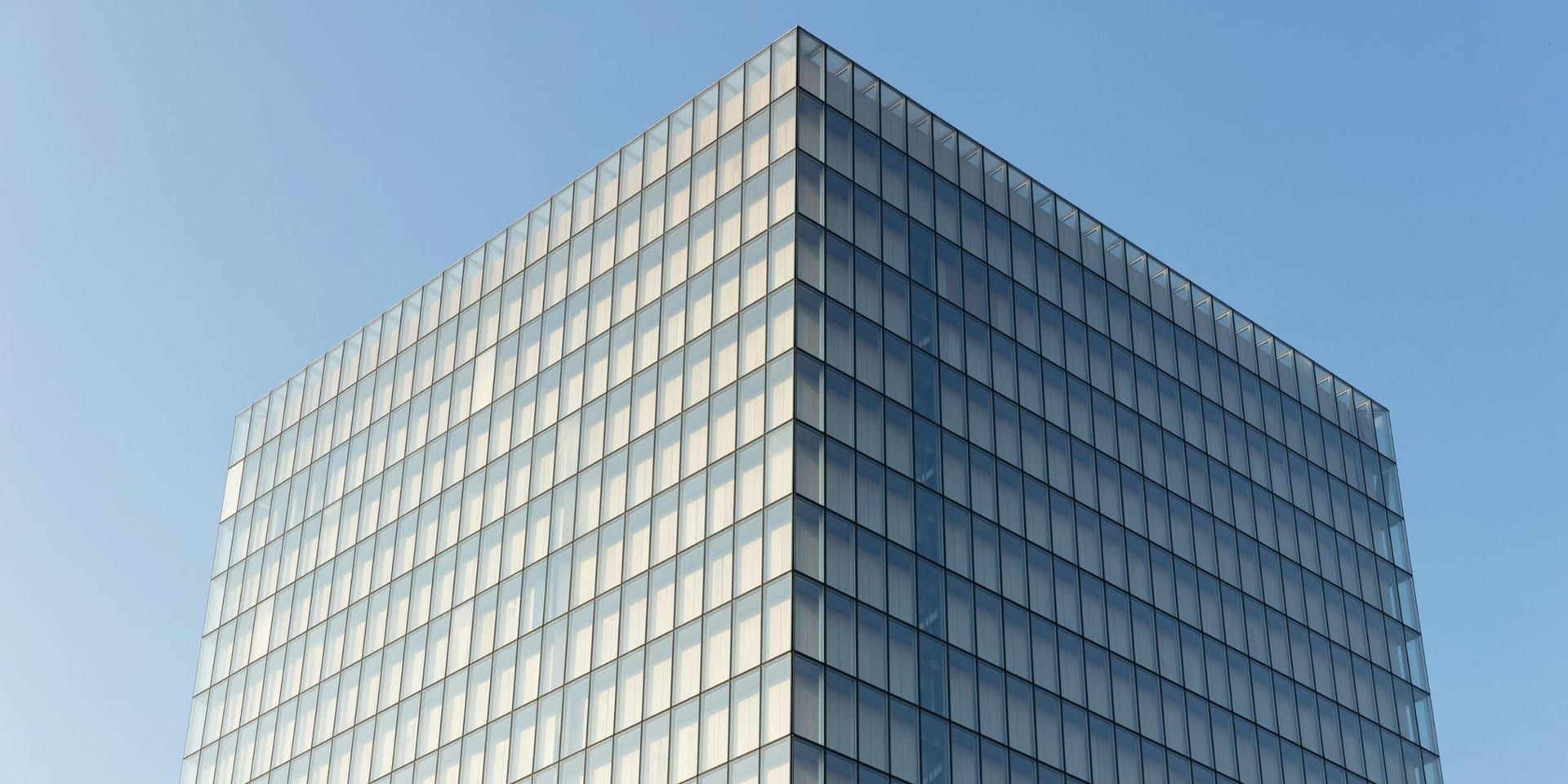 Smart Brands, Real Impact: Companies Making Life Easier in 2025