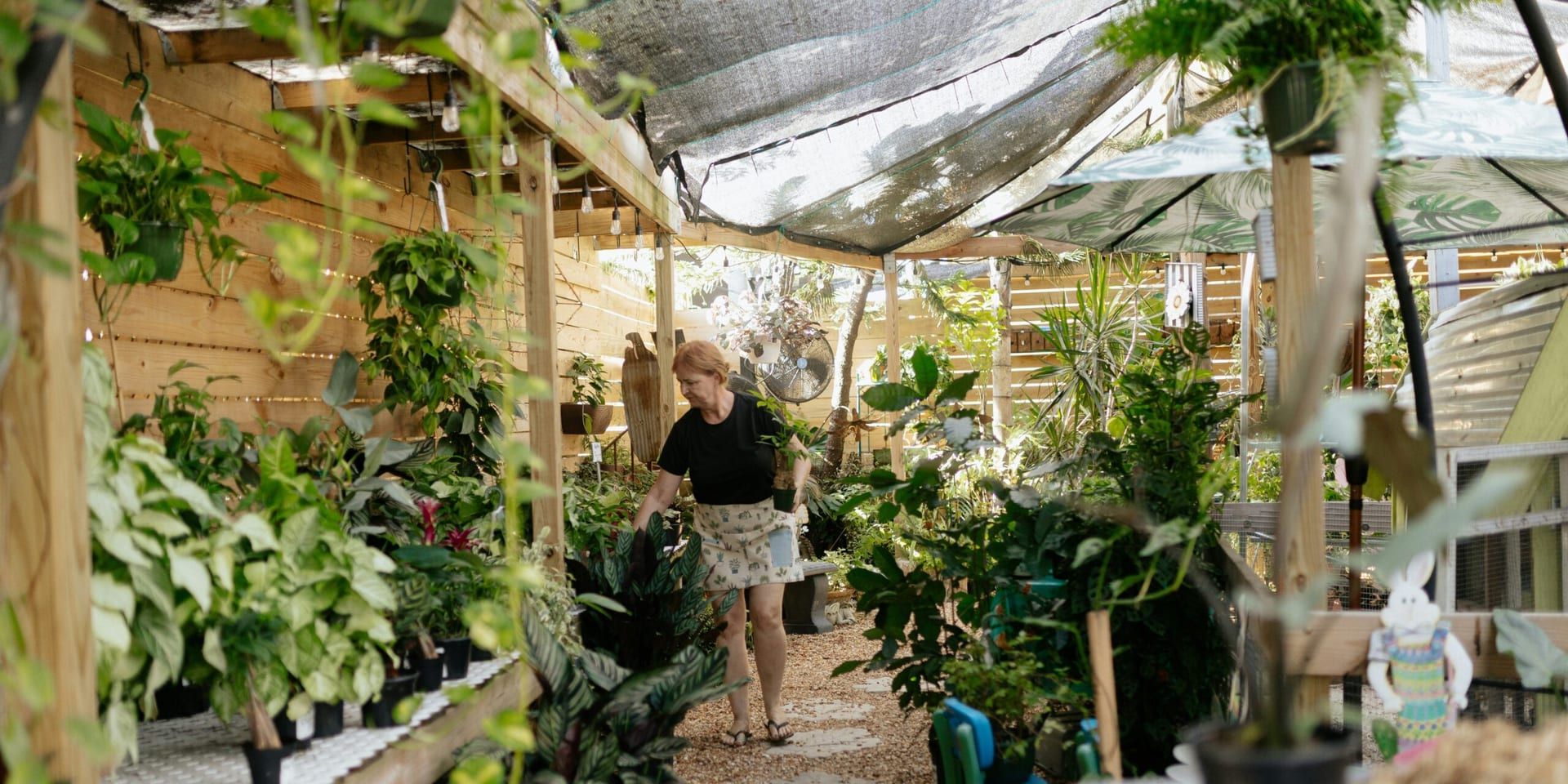 Biophilic Design in 2025: Integrating Nature Indoors for Enhanced Well-being