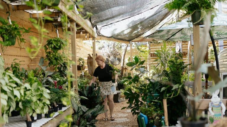 Biophilic Design in 2025: Integrating Nature Indoors for Enhanced Well-being