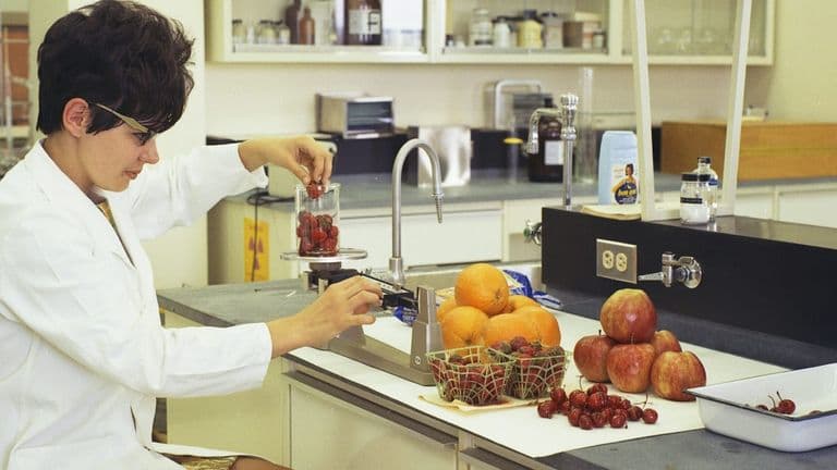 Delay in Release of New U.S. Dietary Guidelines May Affect Nutrition Programs
