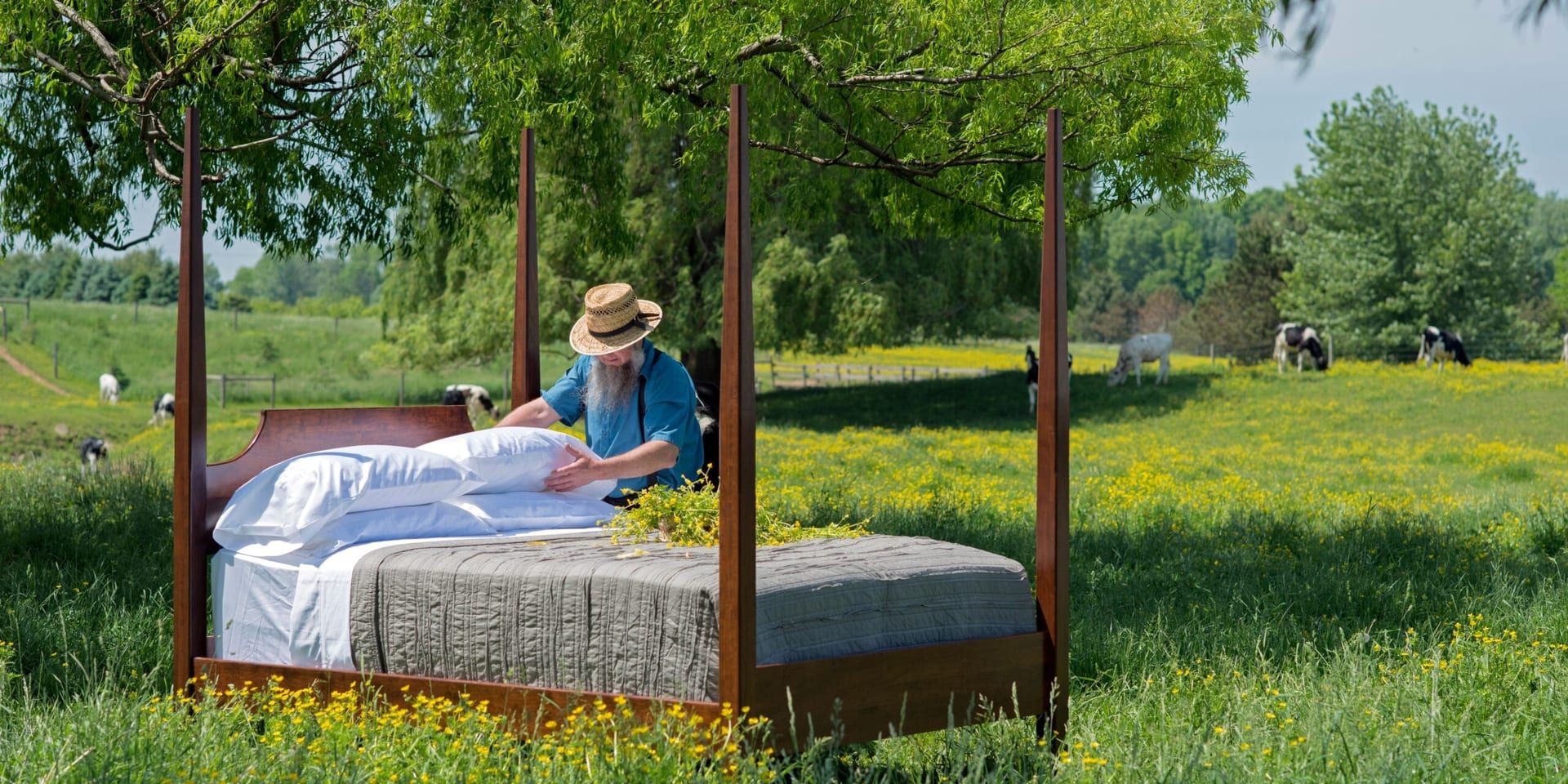 Biophilic Design Transforms Wellness Spaces in 2025