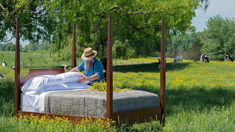 Biophilic Design Transforms Wellness Spaces in 2025