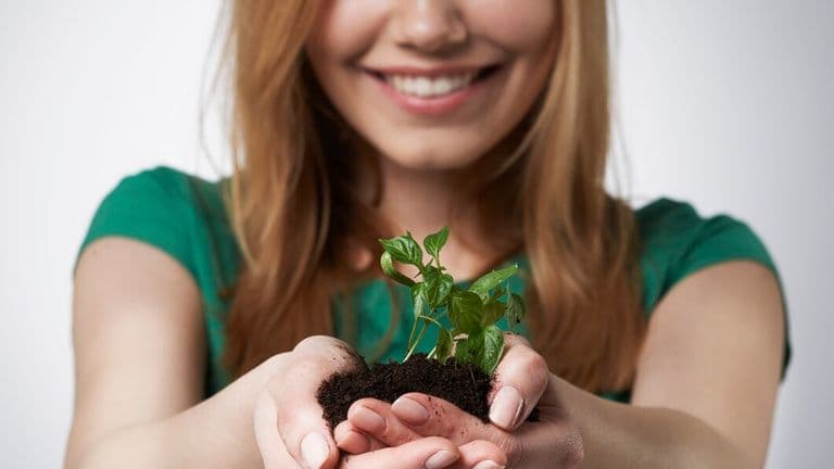 Small Plants Woman S Hands 329181 9731