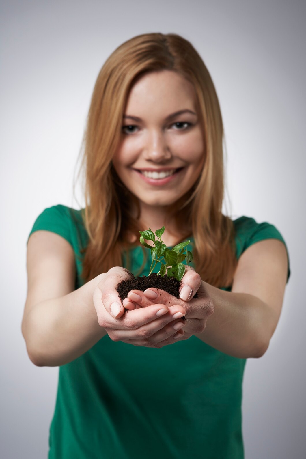 Small Plants Woman S Hands 329181 9731