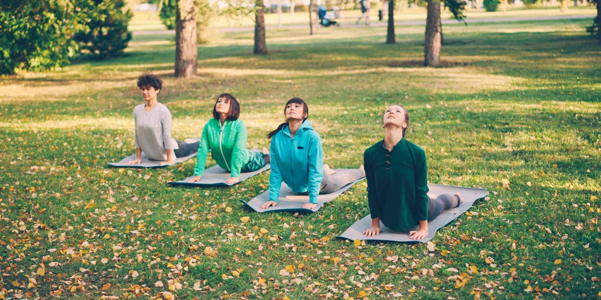 U.S. Colleges Embrace Holistic Wellness With Free Mindfulness and Support Sessions