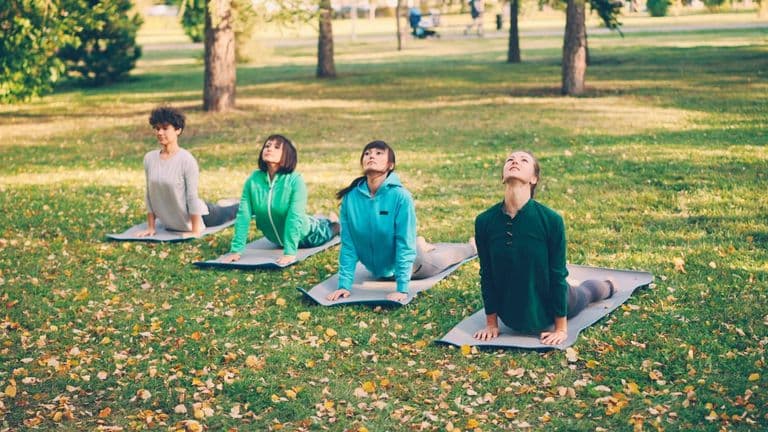 U.S. Colleges Embrace Holistic Wellness With Free Mindfulness and Support Sessions