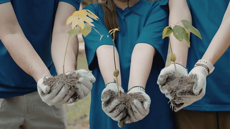 Earth Day 2026: Nationwide Sustainability Initiatives Highlight Growing Momentum for Environmental Action